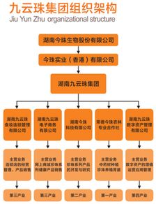 九云珠 涉傳銷被罰沒1749.78萬元 曾宣稱 打造1000個百萬富翁