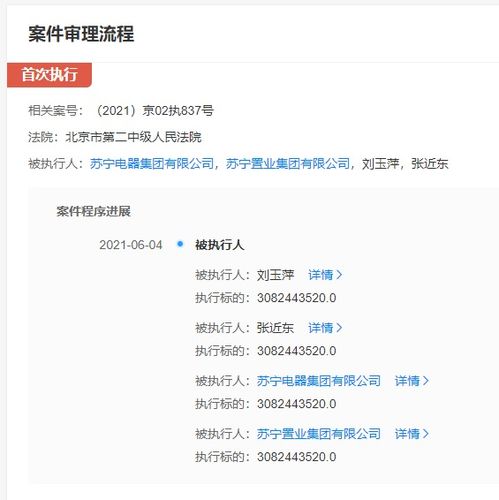 蘇寧電器被強制執行超30億元