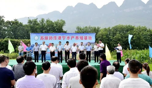 寧強首個蘇陜協作特色養殖項目開工建設