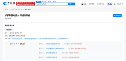 杉杉控股等被強(qiáng)制執(zhí)行6.7億
