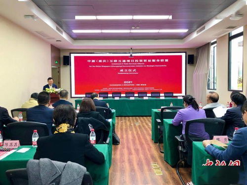 中新 重慶 互聯(lián)互通項(xiàng)目投資貿(mào)易服務(wù)聯(lián)盟在渝成立