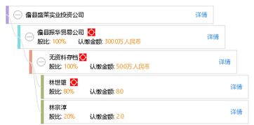 儋縣盛萊實業投資公司