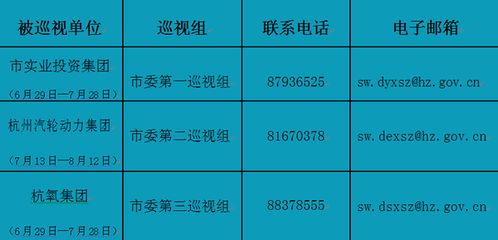 杭州 今年第三輪巡視市實(shí)業(yè)投資集團(tuán)等3家國(guó)企