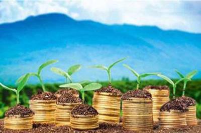 為什么企業家很難同時做好實業和投資