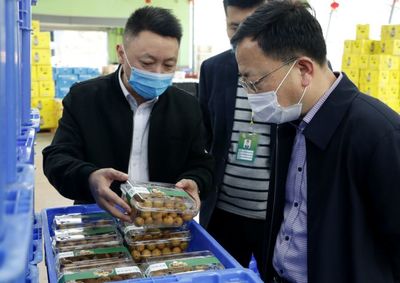 有朋自遠方來丨上饒農墾集團參觀江西綠恒實業