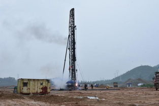 新會區人民政府