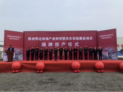 陜西第一家工廠化種植雙孢蘑菇生產線在勉縣建成投產