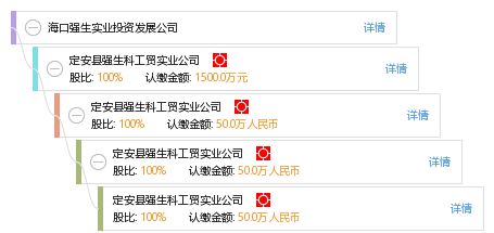 海口強(qiáng)生實(shí)業(yè)投資發(fā)展公司 專業(yè)投資咨詢服務(wù)，助力企業(yè)卓越成長(zhǎng)